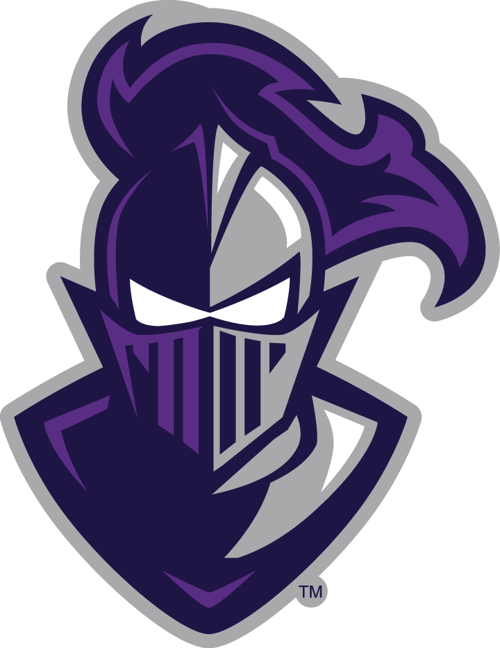 Furman Paladins 2013-Pres Alternate Logo vinyl decal